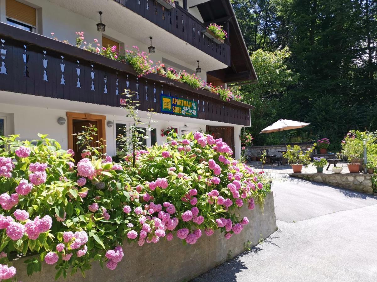 Accommodation Destina, Lake Bohinj Exteriör bild